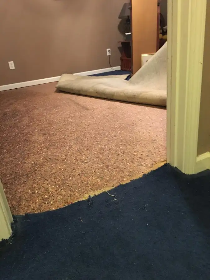 Carpet pad removal revealing water damage during Water Mitigation Services in Innsbrook