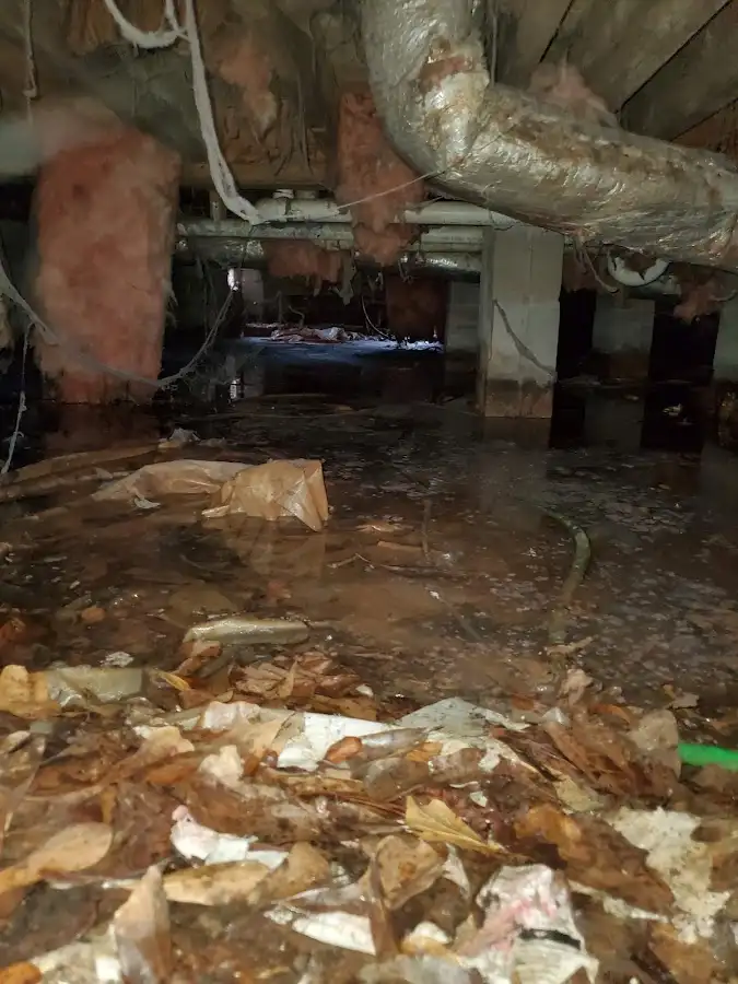 Crawl space flood assessment for Leak Detection & Repair in Innsbrook